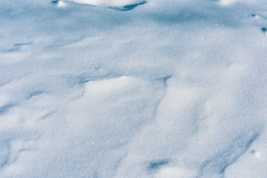 Similar image 22435166