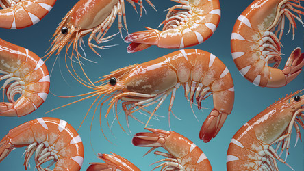 Similar image 22438454