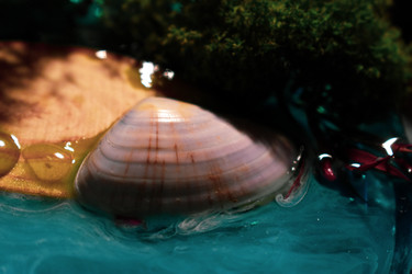 Similar image 22442458