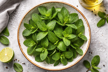 Similar image 22453871