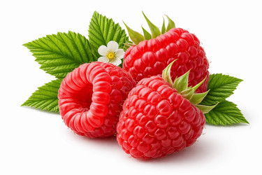 Similar image 22453874