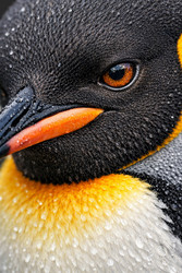 Similar image 22453886