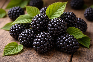 Similar image 22453924