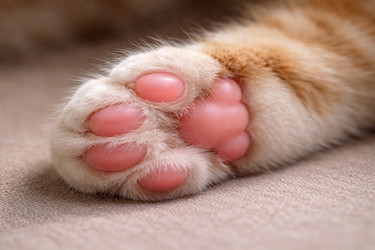 Similar image 22442554