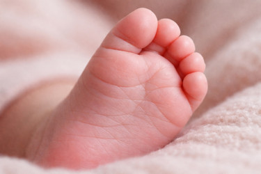 Similar image 22442571