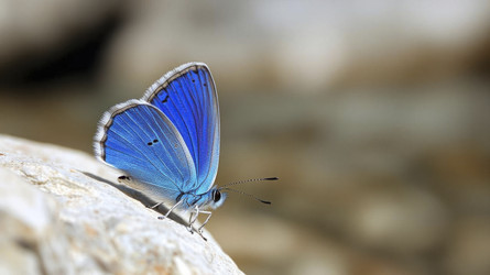 Similar image 22438521