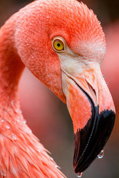 Similar image 22442599