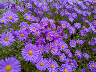 Similar image 22460732