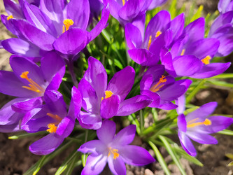 Similar image 22460733