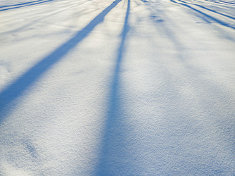 Similar image 22460734