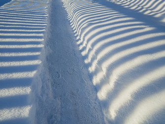 Similar image 22460738