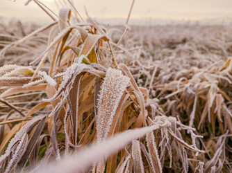 Similar image 22460744