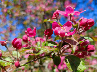 Similar image 22460747