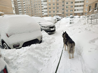 Similar image 22460749