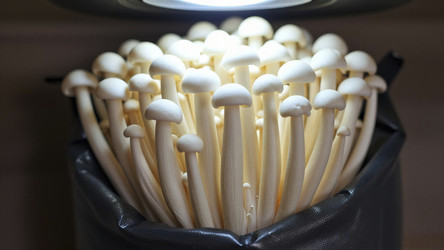 Similar image 22444660