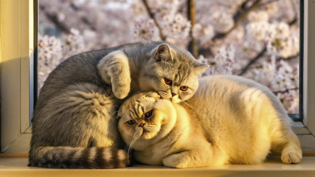 Similar image 22444676