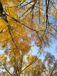 Similar image 22435062