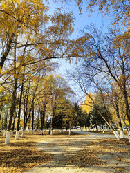 Similar image 22435064