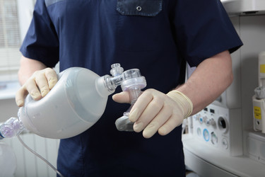 Similar image 22442461