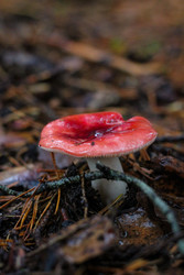 Similar image 22436063