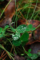 Similar image 22436064