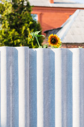 Similar image 22436067