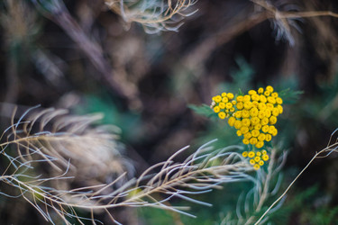 Similar image 22436068