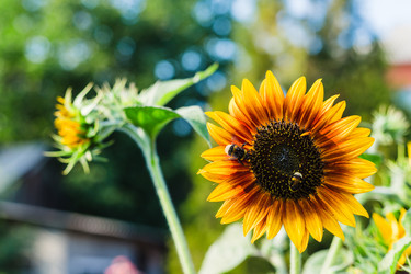 Similar image 22436069