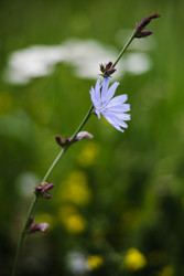 Similar image 22436070