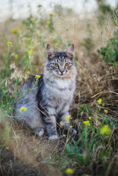 Similar image 22436085