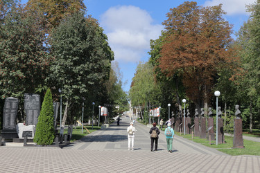 Similar image 22442765