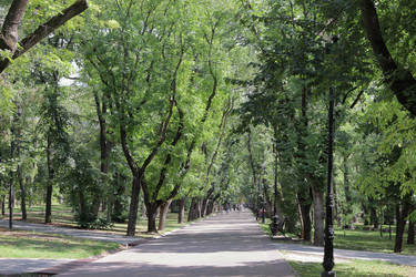 Similar image 22442769