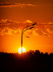 Similar image 22442463