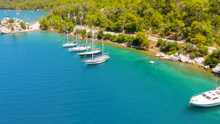 Similar image 22438619