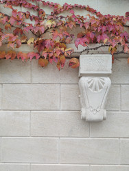 Similar image 22442952