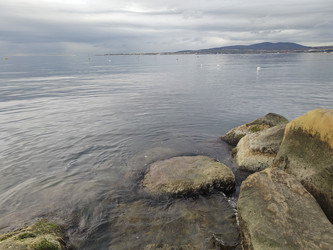 Similar image 22442955