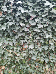 Similar image 22442956