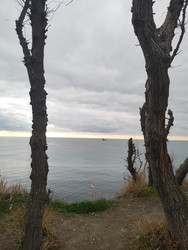 Similar image 22442958