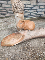 Similar image 22442960