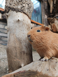 Similar image 22442961