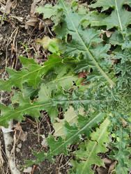 Similar image 22442967