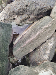 Similar image 22442969