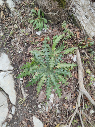 Similar image 22442971