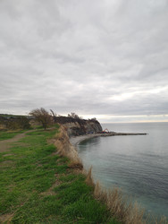 Similar image 22442989