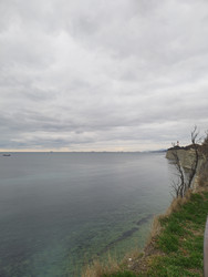 Similar image 22442992