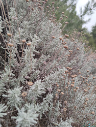 Similar image 22442993