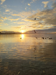 Similar image 22443007