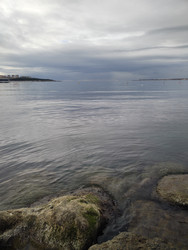 Similar image 22443008