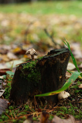 Similar image 22436222