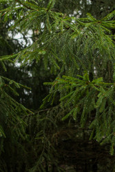 Similar image 22436224